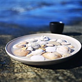 A dish with mussel shells