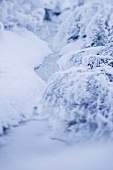 Snowy winter landscape (detail)