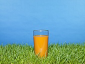 Glass of carrot juice on grass