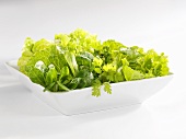 Mixed salad leaves in white dish