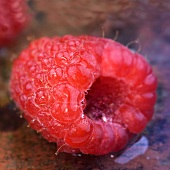 Raspberry on wet tile (detail)