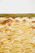 Potato gratin (detail)