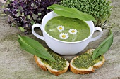 Ramsons (wild garlic) pesto on bread and herb soup with daisies