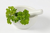 Fresh parsley in mortar