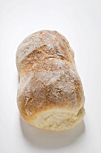 Ciabatta