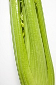 Celery (detail)