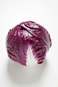 Radicchio