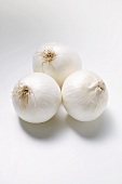 Three white onions