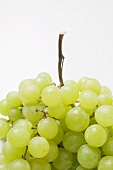 Green grapes (detail)