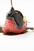 Strawberry with chocolate sauce