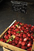 Nectarines in wooden crates at a market