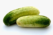 Two pickling cucumbers