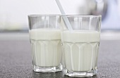 Two glasses of milk