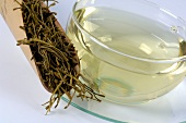 Honeysuckle tea and dried honeysuckle leaf (Chinese remedy)