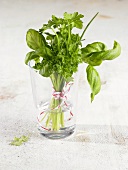 Small bunch of herbs in glass