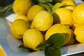 Fresh lemons with leaves