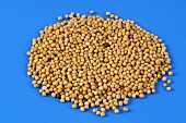 Mustard seeds on blue background