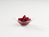 Cranberry compote in a dish