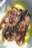 Anchovy fillets in olive oil