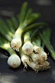 Spring onions