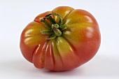 A beefsteak tomato (variety 'Teco Tepee')