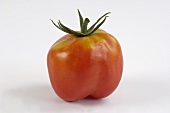 A tomato (variety 'Liberty Bell')