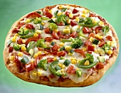 Vegetable and mozzarella pizza