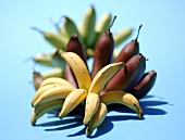 Various types of bananas from Thailand