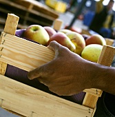 Wooden crate of apples