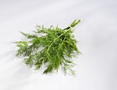 A bunch of dill