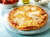 Tomato and mozzarella pizza