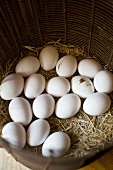 Free-range eggs in a basket