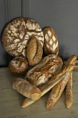 Various rustic loaves of bread and baguettes