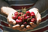 Man holding cherries