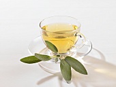 Sage tea in a glass cup