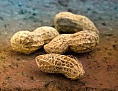 Four peanuts on brick