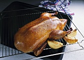 Roast duck on a grill