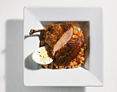 Quail breast on a lukewarm lentil salad