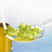 Lettuce leaf with oil on spoon