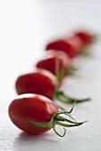 Plum tomatoes in a row