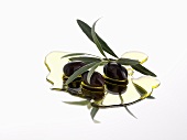 Black olives and olive sprig in olive oil
