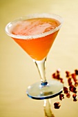 Spritz; Aperol-Prosecco-Cocktail