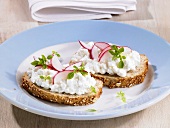 Cottage cheese and radishes on bread