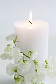 Burning white candle with sweet peas