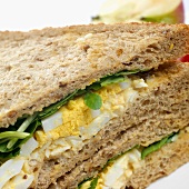 Egg and salad sandwich, close-up
