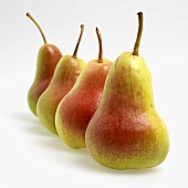Four fresh pears in a row