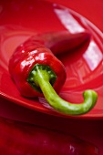 Chillies on and in front of a red dish