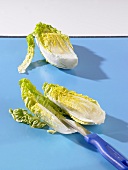 Halved lettuce heart with a knife