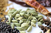 Indian spices: cardamom pods, mustard seeds, star anise