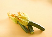 Courgette flowers